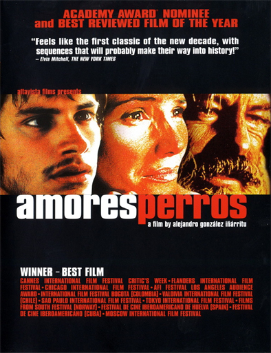 Poster de Amores perros