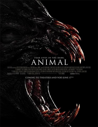 Poster de Animal