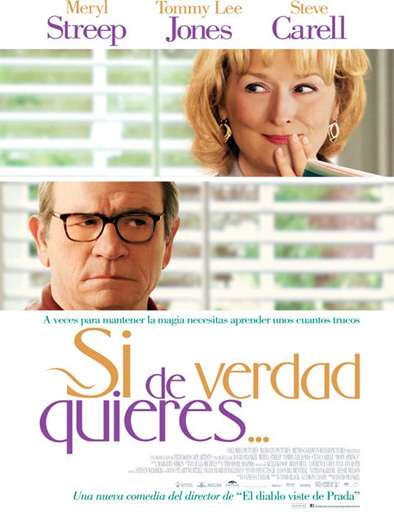 Poster de Hope Springs (Si de verdad quieres)