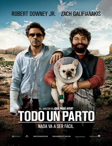 Poster de Due Date (Todo un parto)