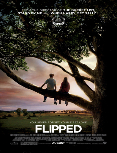 Poster de Flipped (Mi primer amor)