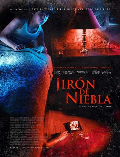 Poster de Jirón de niebla