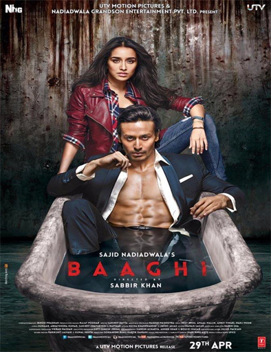 Poster de Baaghi