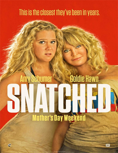 Poster de Snatched (Viaje salvaje)