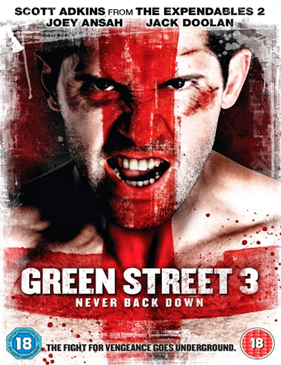 Poster de Green Street Hooligans 3: Underground