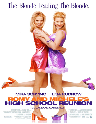 Poster de Romy y Michele