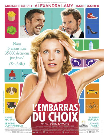 Poster de L'embarras du choix