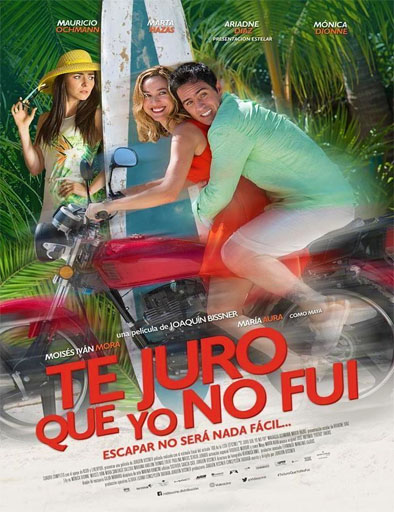 Poster de Te juro que yo no fui