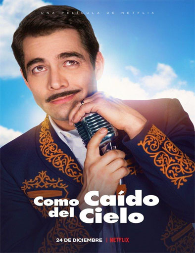 Poster de Como Caído Del Cielo