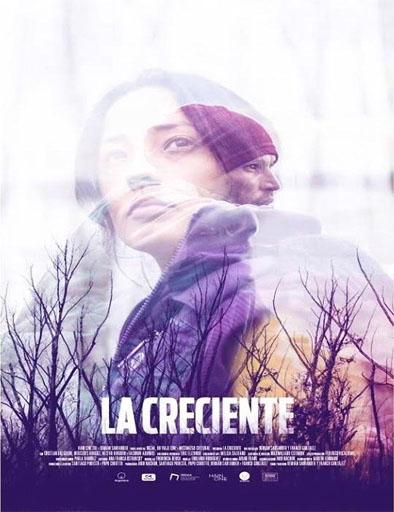 Poster de La creciente