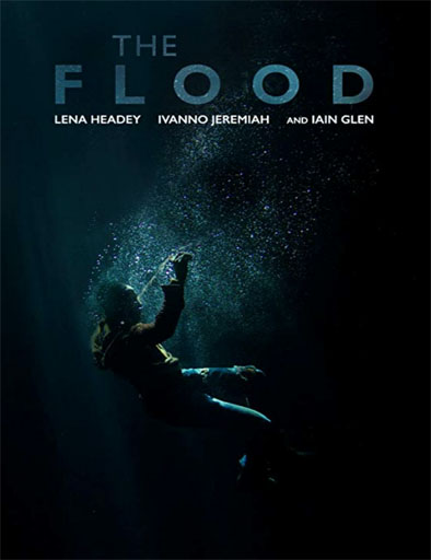 Poster de The Flood