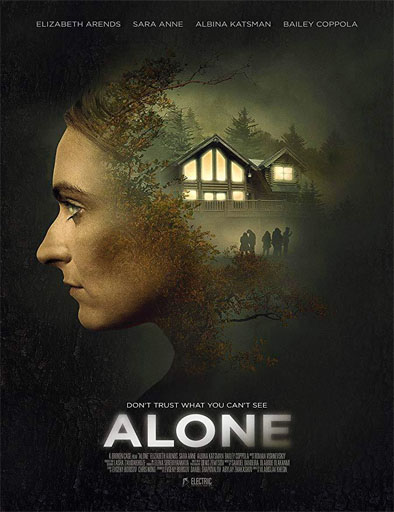 Poster de Alone