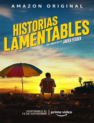 Poster de Historias lamentables