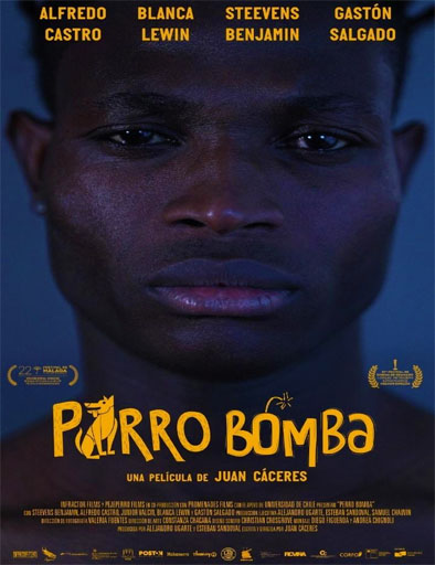 Poster de Perro bomba