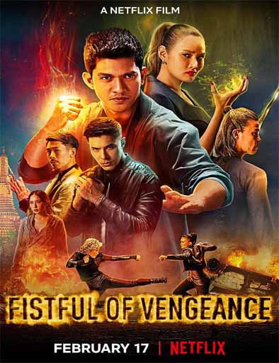 Poster de Fistful of Vengeance (Venganza a golpes)