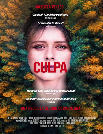 Poster de Culpa