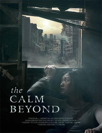 Poster de The Calm Beyond