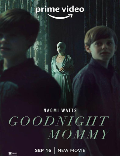 Poster de Goodnight Mommy (Buenas noches, mami)