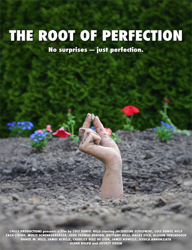 Poster de The Root of Perfection