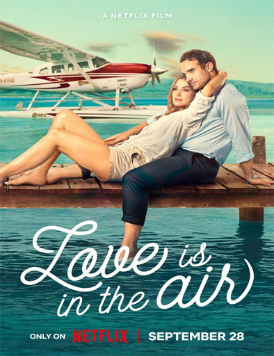 Poster de Love Is in the Air (El amor está en el aire)