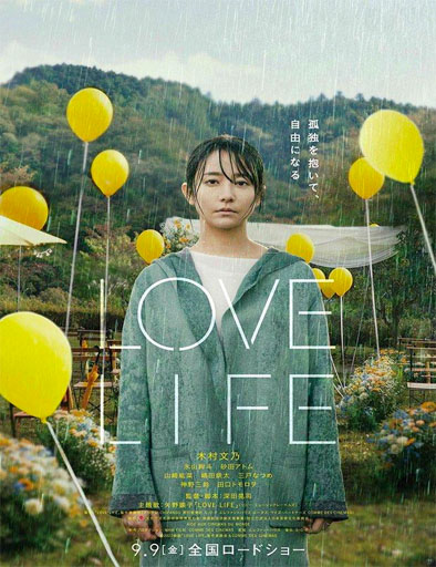 Poster de Love Life