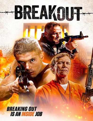 Poster de Breakout