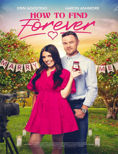 Poster de How to Find Forever