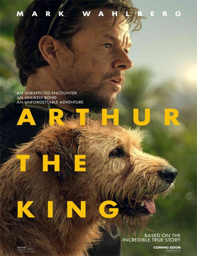 Poster de Arthur: Una amistad sin límites