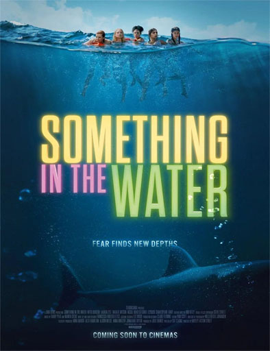 Poster de Something in the Water