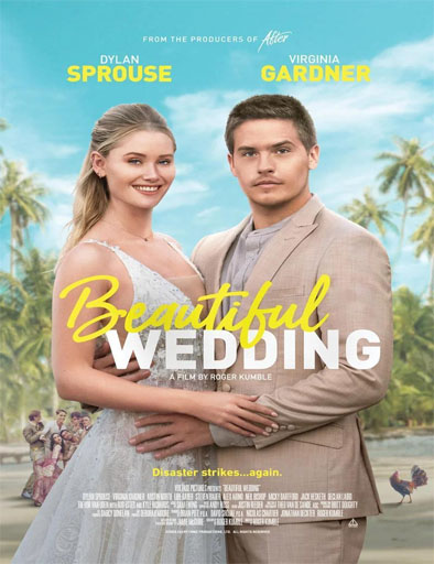 Poster de Beautiful Wedding (Una boda y otros desastres)