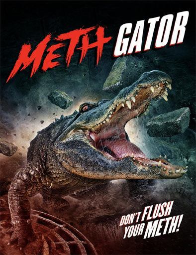 Poster de Methgator