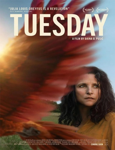 Poster de Tuesday, el último abrazo