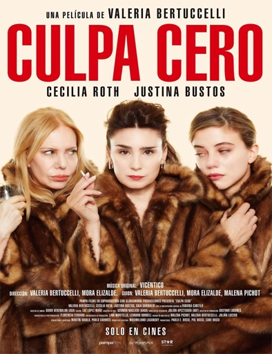 Poster de Culpa cero