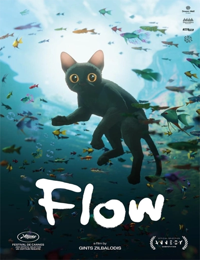 Poster de Flow