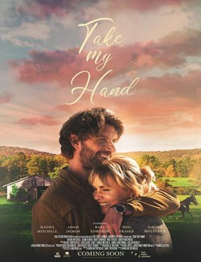 Poster de Take My Hand (Una nueva oportunidad)