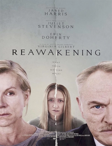 Poster de Reawakening (Despertar)