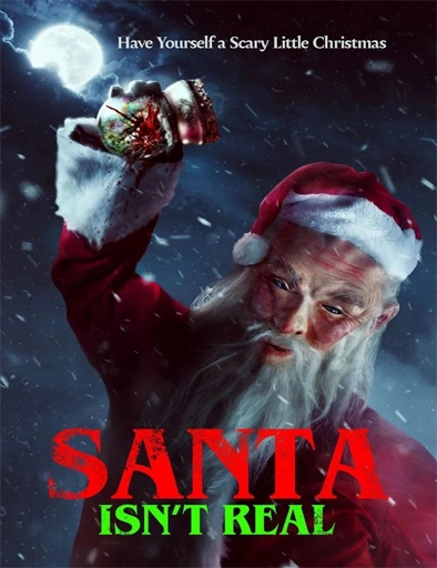 Poster de Santa Isn't Real (Santa, ¿eres tú?)