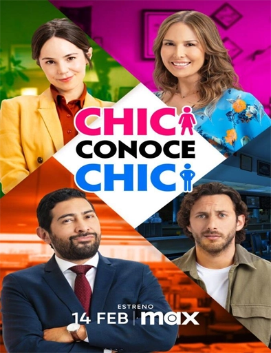 Poster de Chica conoce a chico