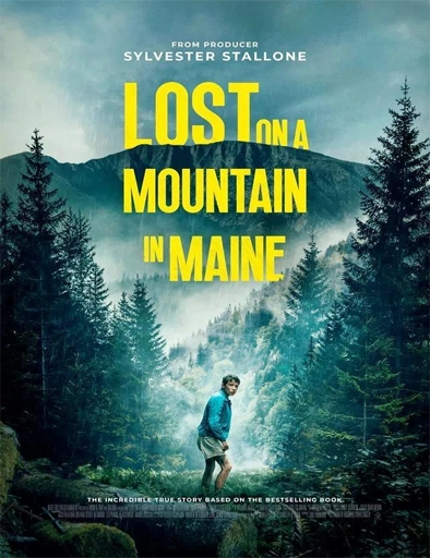 Poster de Lost on a Mountain in Maine (Perdido en la montaña)